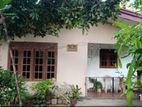 Panadura Singal Story House for Sale