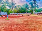 Panadura Thalpitiya Galle Road 6p High Residential Land for Sale D29