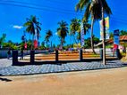 Panadura Town 5minute 6.P Land Plot for Sale D29