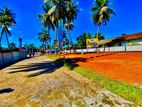 Panadura Town 6P Land Plot for Sale D29