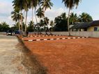 Panadura Town 6.p Land Plot For Sale D29