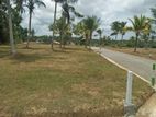 Panadura town Land For Sale