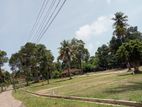 Panadura Town Valuable Land Plots for Sale Mahavila