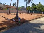Panadura Walana 6 perch Lands For Sale N38