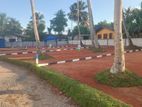 Panadura Walana Highly Valuable Residencial Land for Sale N38