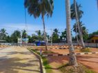 panadura walana land sale T01