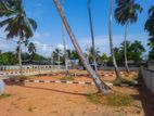 Panadura, Walana Lands for Sale R03