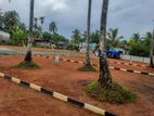 Panadura, Walana Lands for sale | R03