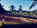 Panagoda Land for Sale