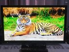 Panasonic 24" LED TV