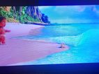 Panasonic 32 LED TV