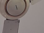 Panasonic fan