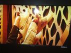 PANASONIC LED 32 TV