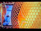 Panasonic LED TV