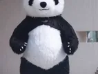 Panda Coustume