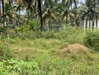 Land for Sale Pangolla, ibbagamuwa