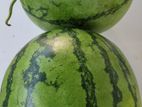 Water Melon