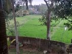 Pannipitiya : 10 P Highly Residential land for Sale at Palanwaththa