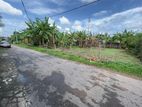 pannipitiya 10 perched highly residence valuable land for sale