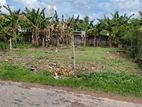 Pannipitiya 10 Perched Valuable Land for Sale