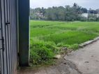 Pannipitiya: 35.5 Perches Residential Land for Sale facing Paddy Field
