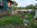 Pannipitiya 6 perched valuable Land For sale