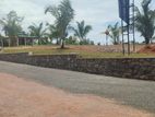 PANNIPITIYA , 6.1p LAND for sale in Araliya Uyana