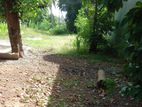 pannipitiya 67per Land for sale in (sm7)