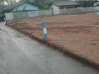 PANNIPITIYA , best VALUABLE LAND for sale Facing Rathmaldeniya road