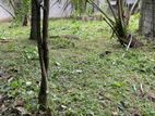 Pannipitiya Depanama 9.65 Perches of Land for Sale