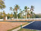 Pannipitiya Land For Sale