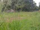 Pannipitiya Off Borella Rd 56 Perches Square Bare Land For Sale