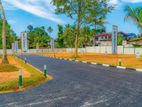 Pannipitiya Palanwatta Land for Sale