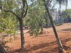 Pannipitiya , Residential Land for Sale