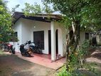 Pannipitiya Single stored house for rent