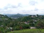 Panoramic View Land Herassagala