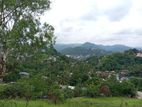 Panoramic View Land Herassagala