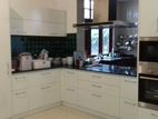 pantry cupboard work