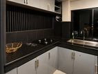 PANTRY CUPBOARD WORK