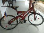 Mountain Bicycle