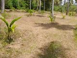 Land for Sale Bodhimulla