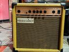 Parkson Guitar Amp