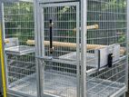 Parrot Cage