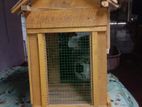 Parrot Cage