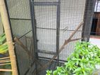 Parrot Cage