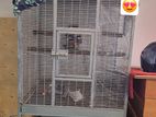 Parrot Cage