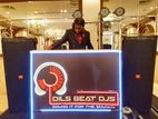 Parties Weddings with DJs Music