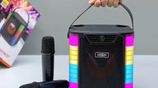 Party Box Bluetooth Speaker with 2 Wireless Mics