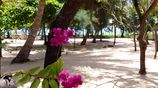 Pasikuda - 9 Acres Beach Land with 3 Villas Infrastructure for Sale