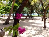 Pasikuda - 9 Acres Beach Land with 3 Villas Infrastructure for Sale